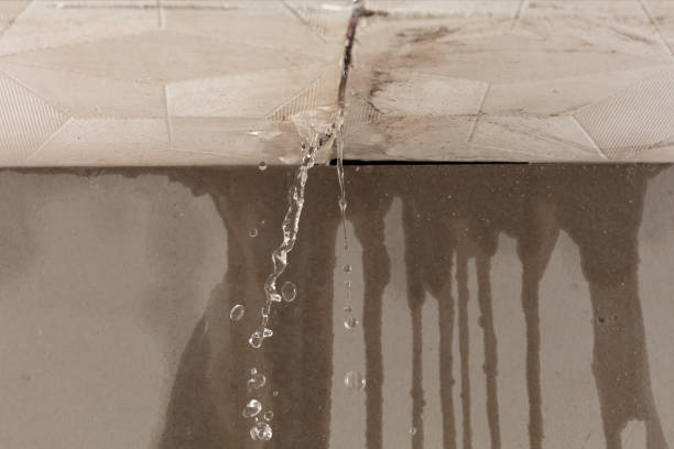 Professional Flood Damage Cleanup technician working in Silverwood, MI